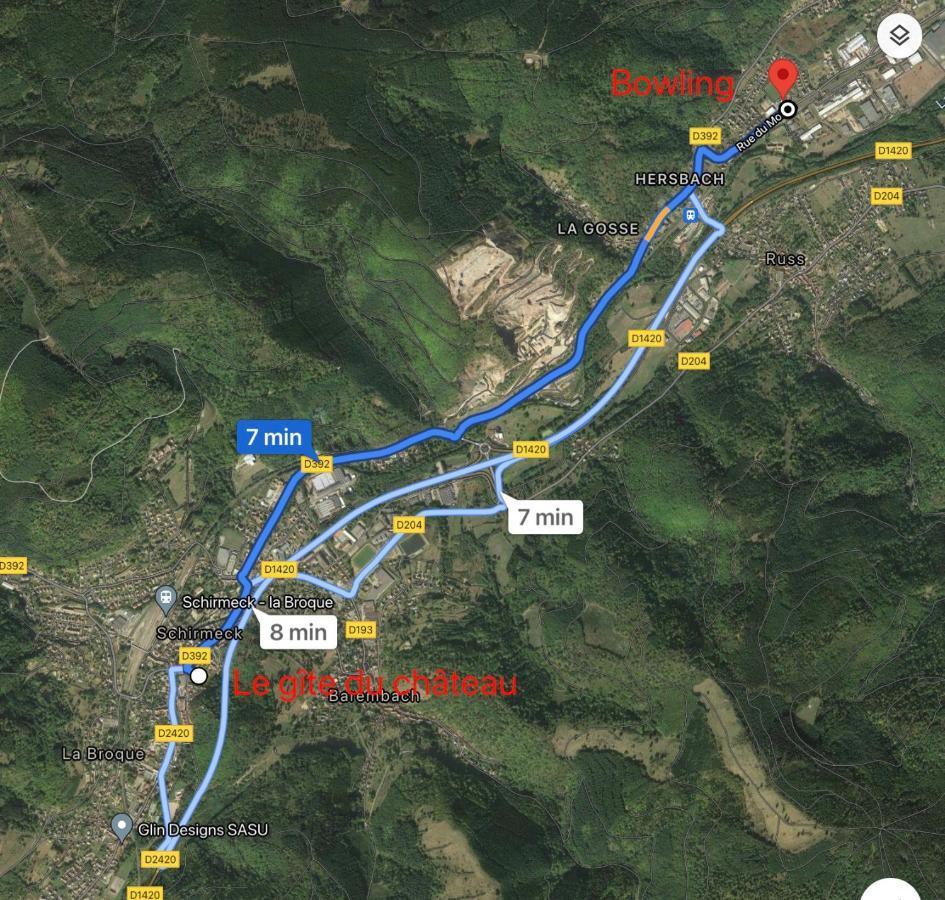 Le Gite Du Chateau Dans Le Centre De Schirmeck Kültér fotó