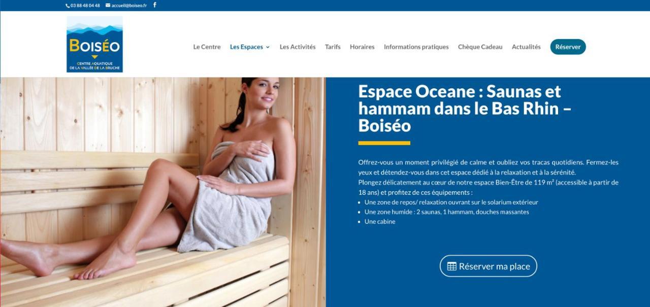 Le Gite Du Chateau Dans Le Centre De Schirmeck Kültér fotó